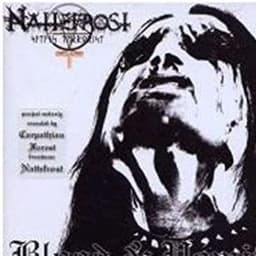 Nattefrost04