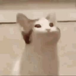 SemaChka___