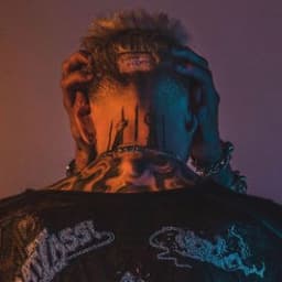 toxicxsmoke