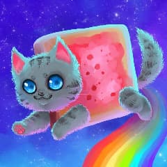 Cat_and_I