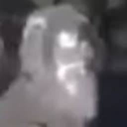 maekii