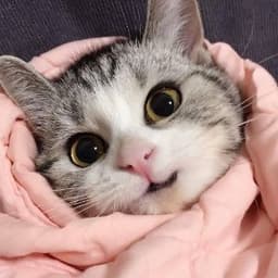 myaffanya