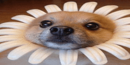 Guczyns123