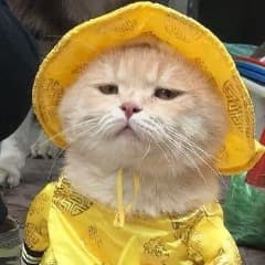 w1ckedd_
