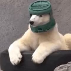 Mr_Biggluls