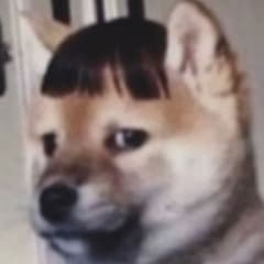 Viperdysh