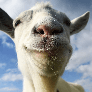 ProfDrGoat