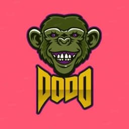 dodoxdodo
