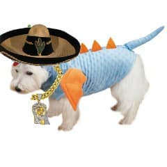 DragonC-S