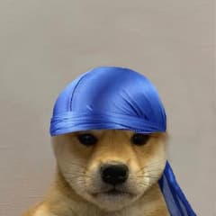 PepetheTerro