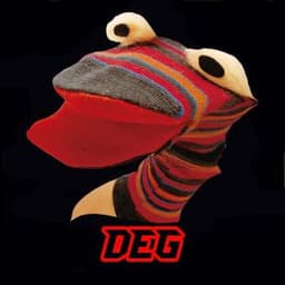 INDIGORUG