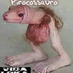 CUBORRADO10