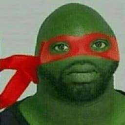 NibberTurtle