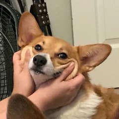 DanekSM