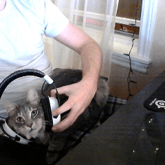 CyberKitteh