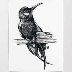 notcolibre