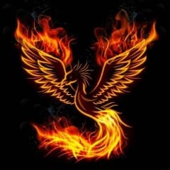 IICREED