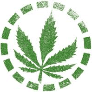 CaNaBIS