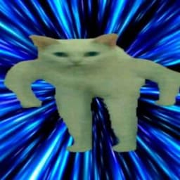 B1ue_Cat