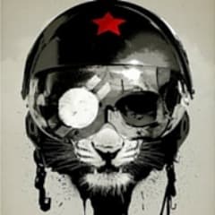 Vovan41c