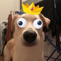 milziss