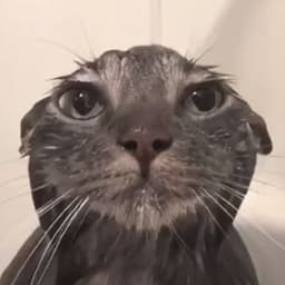 SSEKO