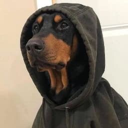 0_GERYCH