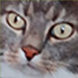 _c_a_t