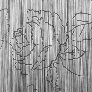Braidor