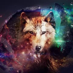 NexTRixhT