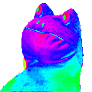 b0ngt