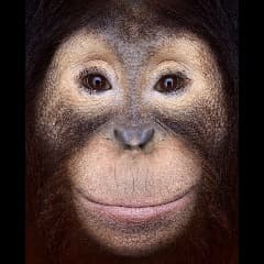 gregy_L