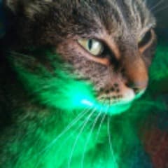 NewOrizon