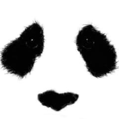 PomidorKOO