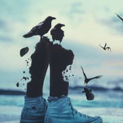 _FeRZb