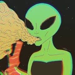 vbacchiega