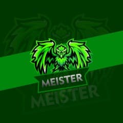 MEIST3R_