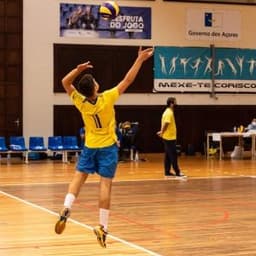 ivorypt17