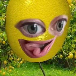 345455