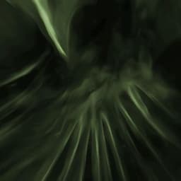 Normchel2