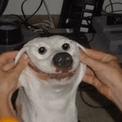 vvave_