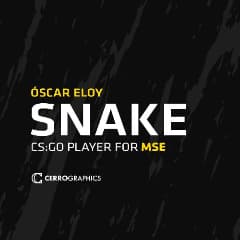 SnakeSuances