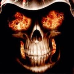SkullDiggeR
