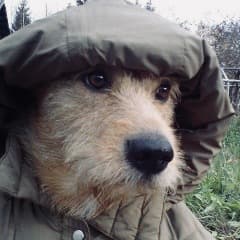 Captain_Max