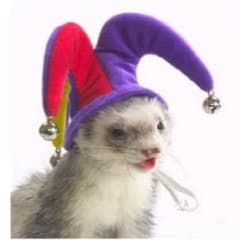 ImBoutaBusti