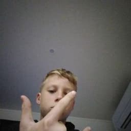 janvisss