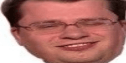 1r0nh1d3