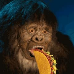 tacoGorilla