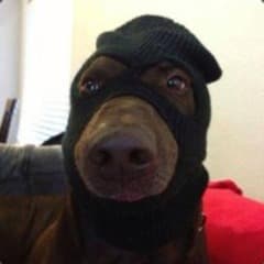 Quix213