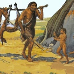 MrExos